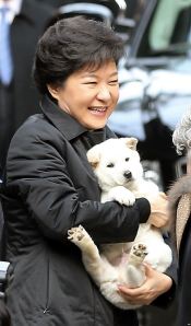 Nữ Tổng Thống Nam Hàn